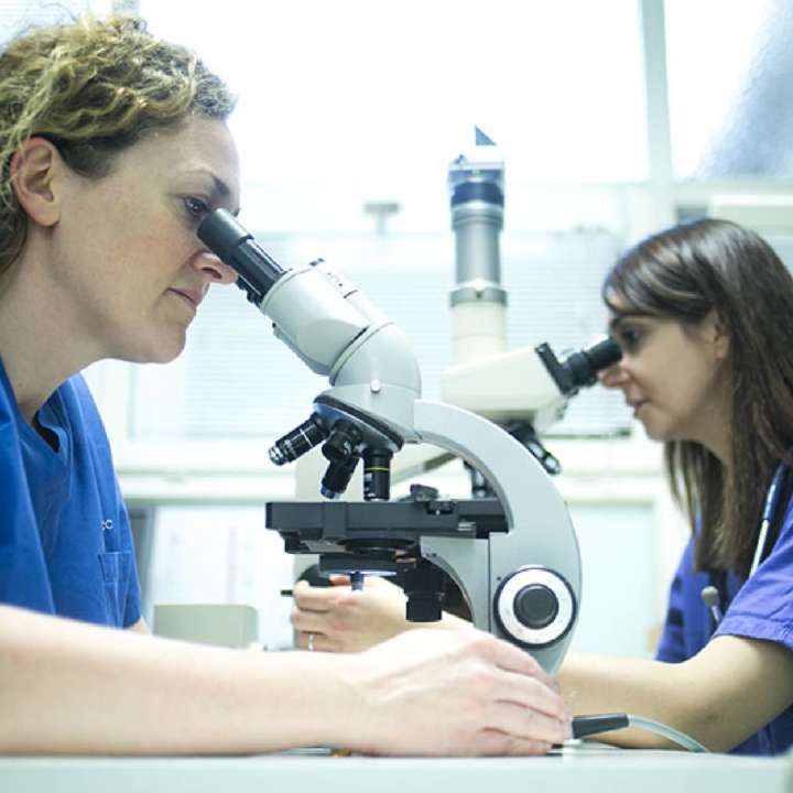 633a8236-2000x1313 633a8236-2000x1313